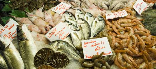 Come riconoscere il pesce fresco in questi 30 giorni di fermo pesca